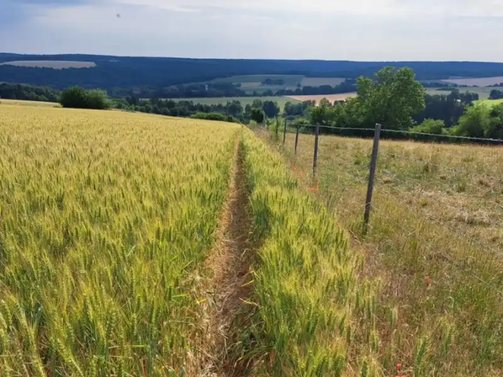 MTB route door en over de akkers in Frankrijk nabij Saint-Christophe en Saint Mihiel