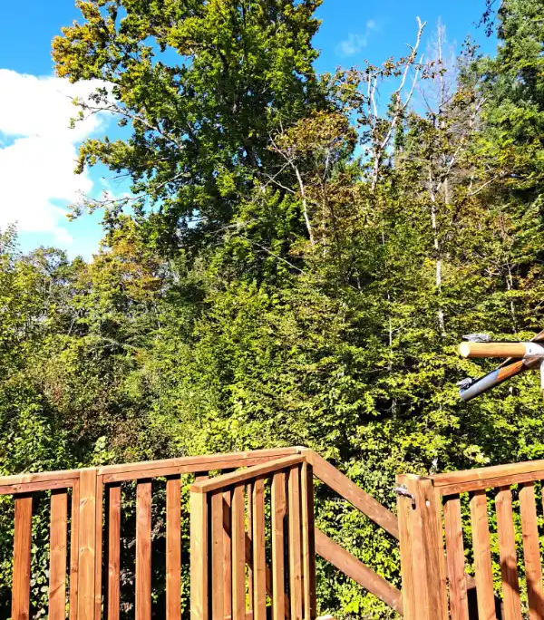 Uitzicht bostent - glamping tent maike op domain du cloitre saint christophe frankrijk